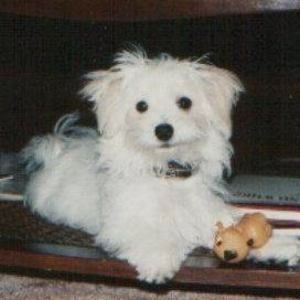 Meet your Posher, Sandra